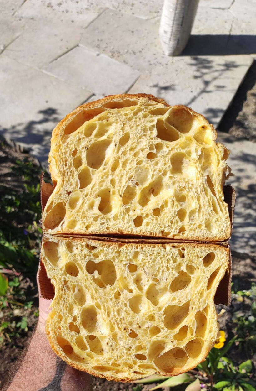 Panettone
